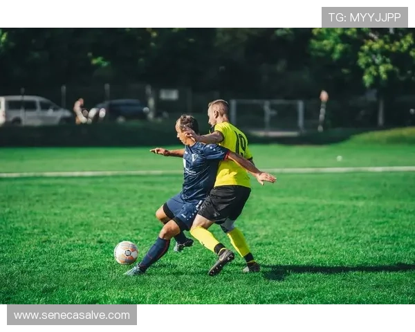 如何利用K8体育APP进行赛事数据分析，提升您的体育竞猜和预测能力