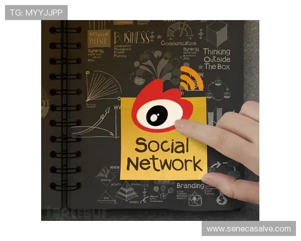 凯发体育注册账号查询不到的解决方案，帮助用户快速恢复账号访问权限